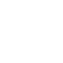 Bus logo