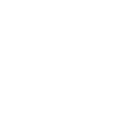 Wi-fi logo